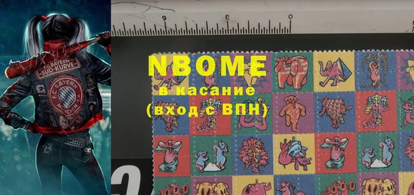 дурь Ельня
