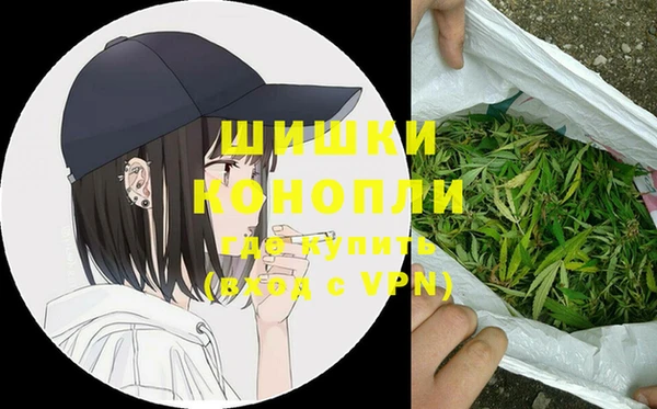 дурь Ельня