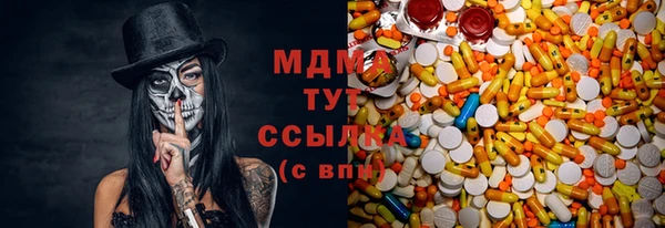 дурь Ельня