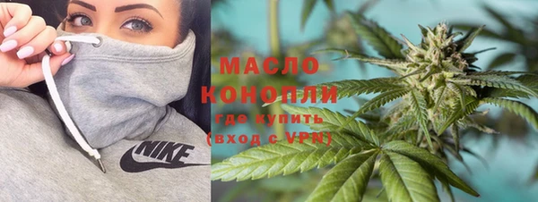 дурь Ельня