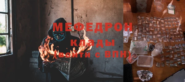 дурь Ельня