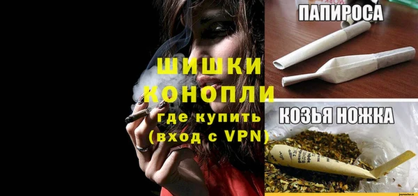 дурь Ельня